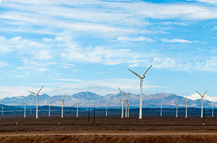 品種豐富，規(guī)格齊全